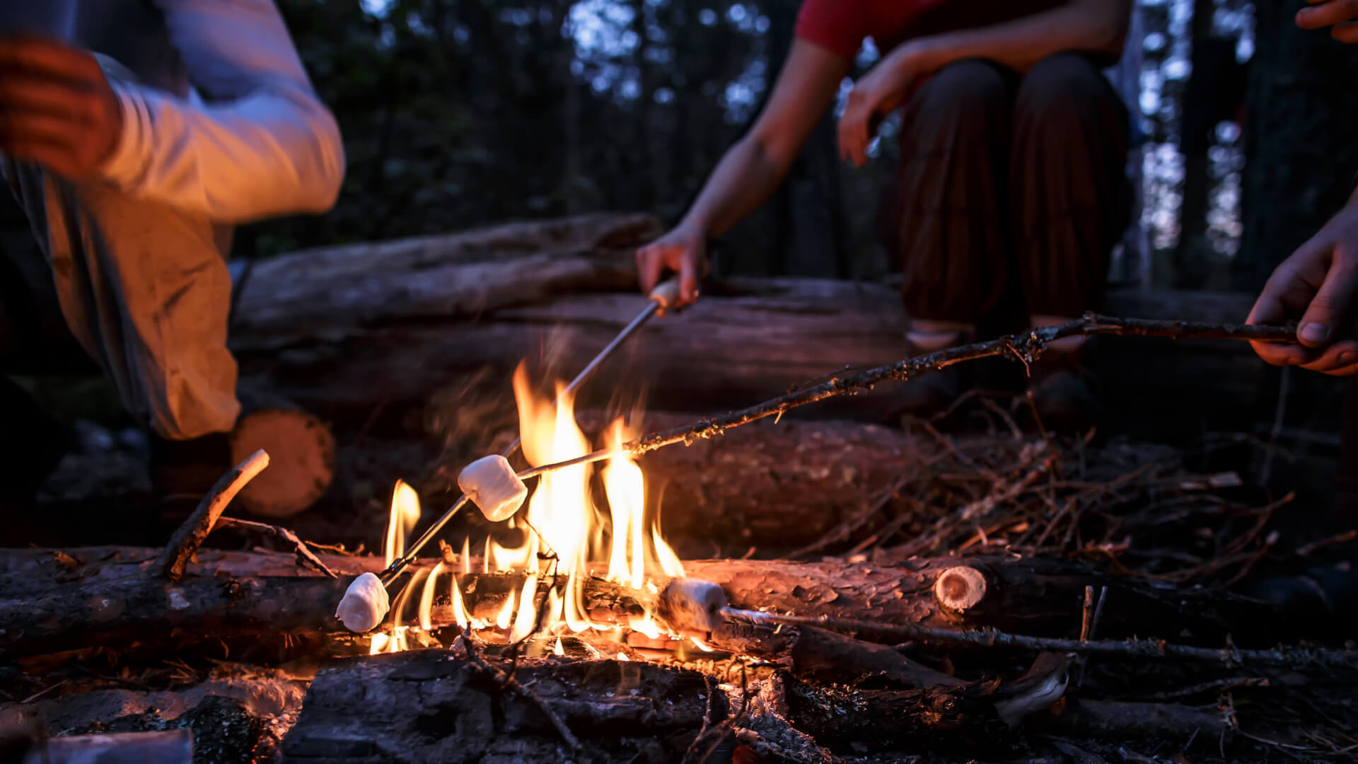 Campfire Image